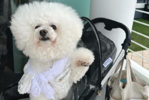 Saeko Kamimura Instagram - .
.
先日、同期の宇内アナの結婚式がありました。

梨沙とは大学一年生の時からの付き合いなので、
会ったことはなくても話しで聞いたことがある
参列者の方ばかり✨
みんなでお揃いのシャツやワンピースを着て、
心温まる素敵な時間を共有することができました☺️🌺

親友が同期でもあるなんて、どれだけ心強いことか。
入社10年目ですが、一緒に採用してくれたTBSにも
梨沙にも、感謝の気持ちは増すばかりです✨
私にとっても幸せな一日になりました😊