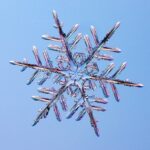 Sahar Valadbeygi Instagram – ❄️
طلوع روشن راهت همایون رسید اسب زمستان یالش از برف نخستین روز دی ماهت همایون زمستان مبارک⛄️
