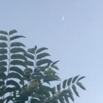 Sahar Valadbeygi Instagram - باید قوی بود، باید از سخت ترین ضربه ها ، پله ساخت و بالاتر رفت ، باید از بی انصافی ها ، درسِ انصاف گرفت و روی تمامِ بی مهری ها ، چشم بست ! نمی توان جلوی سازهای ناکوکِ زمانه را گرفت ، اما می توان مسیرِ درست را ادامه داد و نگرانِ هیچ چیز نبود ... می توان انعطاف پذیر شد و با هر ضربه ، حالتِ بهتری گرفت ، نه اینکه دلسرد و نا امید شد ، نه اینکه جا زد و کنار کشید ... تا بوده ، همین بوده ؛ هرچه بالاتر بروی و نزدیک تر به قله باشی ، باد و طوفان و زمین و زمانه ، سخت تر می گیرد ! من برای عبور ، منتظر نمی نشینم تا تمامِ آب های جهان ، خشک شود ... دل را به دریا می زنم و شنا می کنم ! و برای پرواز ، در انتظارِ اثباتِ نظریه ی تکاملی داروین ، نمی مانم ، آسمان را به خانه ام می برم ! کامل نیستم ، اما کامل می شوم ... @narges_sarrafian_toofan #نرگس_صرافیان_طوفان #دلنوشته #قوی #پله #آسمان #ماه #نو #خوب #امید #نرگس #طوفان #آرامش #دل #دریا #جهان #دنیا #پرواز #عشق #خانه #سحر #سحرولدبیگی