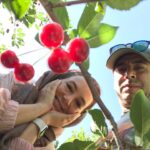 Sahar Valadbeygi Instagram - مردی چهار پسر داشت. آن‌ها را در ۴ فصل مختلف، به سراغ یک درخت گلابی فرستاد. پسر اول در زمستان، دومی در بهار، سومی در تابستان و پسر چهارم در پاییز به کنار درخت رفتند. سپس پدر همه را فراخواند و از آن‌ها خواست که بر اساس آن چه دیده بودند درخت را توصیف کنند. پسر اول گفت: «درخت زشتی بود، خمیده و در هم پیچیده.» پسر دوم گفت: «نه... درختی پوشیده از جوانه بود و پر از امید شکفتن.» پسر سوم گفت: «درختی بود سرشار از شکوفه های زیبا و عطرآگین، باشکوه‌ترین صحنه ای بود که تا به امروز دیده‌ام.» پسر چهارم گفت: «نه، درخت بالغی بود پربار از میوه‌ها... پر از زندگی و زایش!» مرد لبخندی زد و گفت: «همه شما درست گفتید، اما هر یک از شما فقط یک فصل از زندگی درخت را دیده‌اید! شما نمی‌توانید درباره یک درخت یا یک انسان بر اساس یک فصل قضاوت کنید؛ لذت، شوق و عشقی که از زندگی‌شان بر می‌آید فقط در انتها نمایان می‌شود، وقتی همه فصل‌ها آمده و رفته باشند! اگر در زمستان تسلیم شوید، امید شکوفایی بهار، زیبایی تابستان و باروری پاییز را از دست داده‌اید! مبادا بگذارید درد و رنج یک فصل زیبایی و شادی تمام فصل‌های دیگر را نابود کند!» زندگی را فقط با فصل‌های دشوارش نبینید؛ در راه های سخت پایداری کنید تا لحظه های بهتر بالاخره از راه برسند! #دلنوشته #فصل #بهار #تابستان #پائیز #زمستان #زندگی #جهان #دنیا #درخت #آسمان #قضاوت #شوق #عشق #طبیعت #لبخند #زیبا #زیبایی #من #تو #ما #نیما #سحر #نیمافلاح #سحرولدبیگی