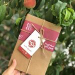 Sahar Valadbeygi Instagram - 📖@khoobpub📖 ما کتاب نخوانیم فیلم خوب نبینیم موسیقی قشنگ گوش نکنیم هیچ اتفاق خاصی نمی‌افتد؛ فقط سرمایه گذاری‌های موفق زندگی‌مان را بی‌دلیل عقب انداخته‌ایم. 📚دکتر علیرضا شیری📚 #کتاب #خوب @khoobpub #کتابخوانی #کتاب_بخوانیم #فیلم #سریال #موسیقی #قشنگ #زیبا #کلاس #شخصیت_سالمتر_من #خانه_توانگری_طوبی #خانه #درخت #هلو #زیبایی #جهان #دنیا #موفقیت #سرمایه_گذاری #سرمایه #سحر #سحرولدبیگی
