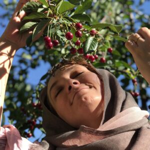 Sahar Valadbeygi Instagram - ‍ 🍒 هر میوه کوچک شهرزادی است

تنها کسی که فصل به فصل پا به پای درختان دویده باشد، می تواند از چشیدنِ طعم میوه ای کوچک به شور و شادمانی برسد.

میوه هایی که از دکان می خری، غمگینند. گنگ و غریبه و بی زبان. می ترسند از مردمی که جز خوردنشان کاری با آنها ندارند.

هر میوه کوچک اما شهرزادی است، راوی هزار و یک قصه.
هر میوه را پیش از آنکه بر دهان بگذاری، بر چشم بگذار. تا قدرش را ببینی و بر گوش بگذار تا قصه اش را بشنوی..

سرکار خانم عرفان نظرآهاری

#آسمان #آبی #درخت #میوه #دختر  #شهرزاد #فصل #تابستان #آلبالو #قرمز #تابستانه #آرامش #راوی #قصه #دلنوشته #عرفان_نظرآهاری 🍒  #سحرولدبیگی