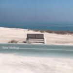 Sahar Valadbeygi Instagram - يك گفتگوى عميق، با يك آدمِ به موقع ، قابل قيمت گذارى نيست. مشكل آنجاست كه همه دنبال آن آدم عميق به موقع هستند، به جاى آنکه خود، عميق و به موقع بشوند! #عليرضا_شيرى #دریا #جهان #دنیا #آرامش #آدم #گفتگو #من #تو #ما #تابستان #ساحل #سحر #سحرولدبیگی #نیمافلاح