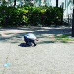 Saki Aibu Instagram - 気付いたらいつだってこの姿勢。蟻を探してます。先日は蟻に噛まれたらしく少し怖くなったそうです🤷🏻‍♀️💦 #4歳児 今日I.M.A配信しています☺️#I.M.A