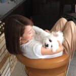 Saki Aibu Instagram - 今日もI.M.A配信しています☺️#I.M.A @artistspoken_i.m.a そして先日、16歳3ヶ月で愛犬のみゅーが虹の橋を渡りました。最後の数週間はとても辛い日々でしたが、最期まで一緒に過ごせて幸せでした。大好きな思い出がありすぎて、心に大きな穴があいています。この穴はいつか埋まるのだろうか、、。 今は精一杯、前向きに、思い出を整理しつつ過ごしています！ 明日も前向きに！！ではおやすみなさい✨