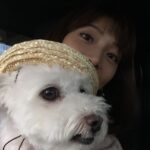 Saki Aibu Instagram - 今日もI.M.A配信しています☺️#I.M.A @artistspoken_i.m.a そして先日、16歳3ヶ月で愛犬のみゅーが虹の橋を渡りました。最後の数週間はとても辛い日々でしたが、最期まで一緒に過ごせて幸せでした。大好きな思い出がありすぎて、心に大きな穴があいています。この穴はいつか埋まるのだろうか、、。 今は精一杯、前向きに、思い出を整理しつつ過ごしています！ 明日も前向きに！！ではおやすみなさい✨
