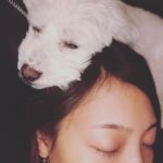 Saki Aibu Instagram - 今日もI.M.A配信しています☺️#I.M.A @artistspoken_i.m.a そして先日、16歳3ヶ月で愛犬のみゅーが虹の橋を渡りました。最後の数週間はとても辛い日々でしたが、最期まで一緒に過ごせて幸せでした。大好きな思い出がありすぎて、心に大きな穴があいています。この穴はいつか埋まるのだろうか、、。 今は精一杯、前向きに、思い出を整理しつつ過ごしています！ 明日も前向きに！！ではおやすみなさい✨