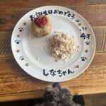 Sakurako Okubo Instagram - 今年の思い出集。 #2023