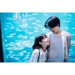 Sakurako Okubo Instagram – 本当にありがとうございました。
#オオカミちゃんには騙されない