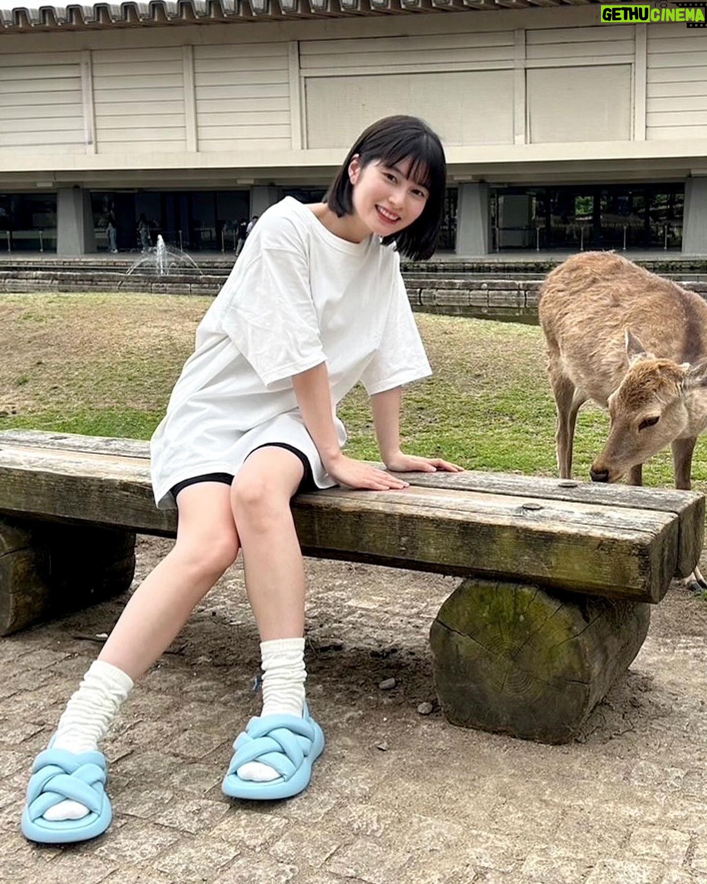 Sakurako Okubo Instagram - NY発 Steve Maddenの個性的な新作サンダル HAZZIE モチモチ素材でとても軽く、これからの季節に活躍してくれそう💕今ならメンバーシップ登録で20%OFFクーポン配布中みたいです。 @stevemaddenjp #stevemaddenjp #スティーブマデン #HAZZIE #サンダル #サンダルコーデ #pr