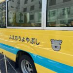 Salem Ilese Instagram - new fashion inspo: any vehicle in tokyo
