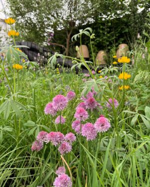 Sally Phillips Instagram - The winners of #rhschelseaflowershow are announced tomorrow but I got a sneak peak at the contenders today thanks to the excellent Gardens for Good- check them out on @project.giving.back #gardensforgoodcauses.  Such a great day, lucky me. And so nice to hang out with funny doctor @michaelakadiri funny queen @elliejanetaylor dramatically skilled baker and seamstress #janeasher and Oscar nominee of the future @fehintibalogun. Also hilarious.

Project Giving Back was founded by two philanthropists who had the idea of giving the significant platform (and springboard) of a Chelsea Flower Show garden to community interest groups, educational organisations and charities within the UK so they can raise awareness and engage with their audience. Hard to believe now but all the Chelsea gardens used to be put in a skip once the week was up. All of these gardens are repurposed or relocated to a permanent home afterwards - going out when the flower show is over to schools, hospitals, therapeutic settings and community spaces so they have a long-lasting legacy.
A feast for the eyes but also the heart. Loved meeting Jessie and @officialdanielwakeford at @pulpfrictioncic Growing Skills Garden and Adil and the kids at @panathlon_international Joy Garden.
Thought of @darrenashton and all you great #survivors in the @bowelresearchuk Microbione garden - a meadow of edible flowers complete with dormouse nest and cracked hazelnut shells designed by @chrishullgardens and @sidhillecogardens . @nationalautisticsociety garden featured giant marble run, @musculardystrophyuk a beautiful haven, but was stopped in my tracks by the @freedomfromtorture Garden : A Sanctuary for Survivors by @johnwarland and @emmaoconnellgardendesign .
 Thanks to @annie_miall as per, to @cefinnstudio for the loan of the beautiful yellow frock which I am definitely going to buy and to @aspinaloflondon for the bag. Hair and make-up by.,, whoops should probably have got help with that.