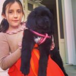 Sam Taylor-Johnson Instagram – RIP Bear 💔 14 years old  She was such an incredible soul. To all those who met her she touched everyone’s heart ♥️ newfoundlands are noble creatures and she was a queen