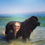 Sam Taylor-Johnson Instagram – RIP Bear 💔 14 years old  She was such an incredible soul. To all those who met her she touched everyone’s heart ♥️ newfoundlands are noble creatures and she was a queen