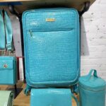 Samantha Brown Instagram - SNEAK PEAK Croco luggage is back and it brought friends! My Todays Special STARTS May 25th at 12am. It’s a 22” Carry-on 26” set. Today Special price 189.99 Free Shipping! I have a bevy of travel accessories to get you sorted for summer Colors Turquoise, Watermelon, Sage green, Vanilla, Burgundy and Black See you soon! Only @hsn
