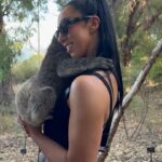 Samantha De Martin Instagram – When you come home, you have to cuddle a koala! 🐨🥹🇦🇺 #WWEChamber 

#WWEAustralia @westozwildlife