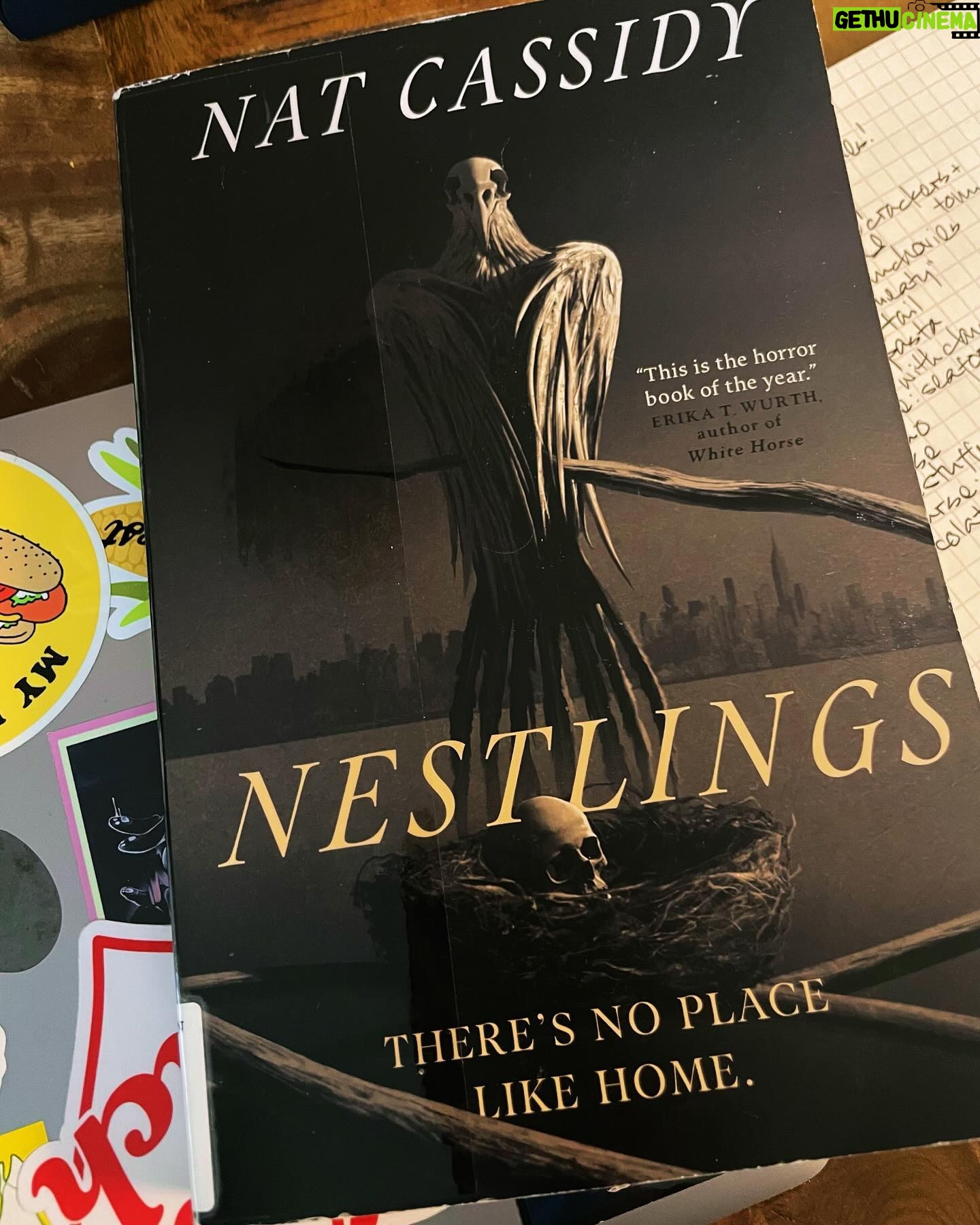 Samantha Irby Instagram - so so good, so terrifying, a story about marriage and parenthood and grieving your past self, scared the ABSOLUTE DOGSHIT outta me 🫡🫡 president of the nat cassidy fan club clocking in for my shift!!!!!!!!!