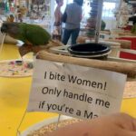 Samantha Irby Instagram – an entire month??!? for WOMEN ???!!?!