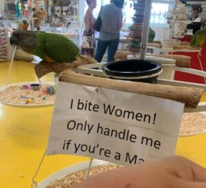 Samantha Irby Instagram - an entire month??!? for WOMEN ???!!?!