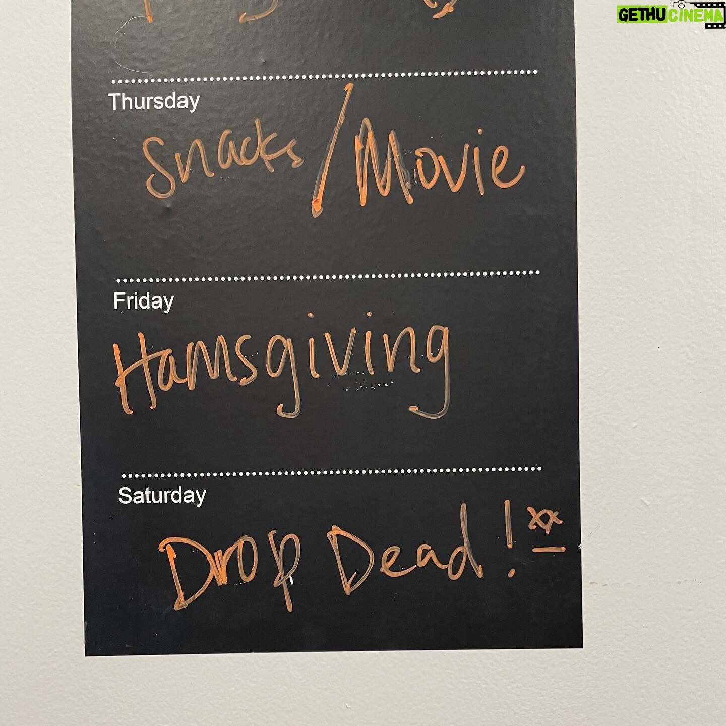 Samantha Irby Instagram - literally us!! the agenda ham snacks me dump truck and jump scare lucky bastard smh the funniest tweet i have ever seen enjoying the go