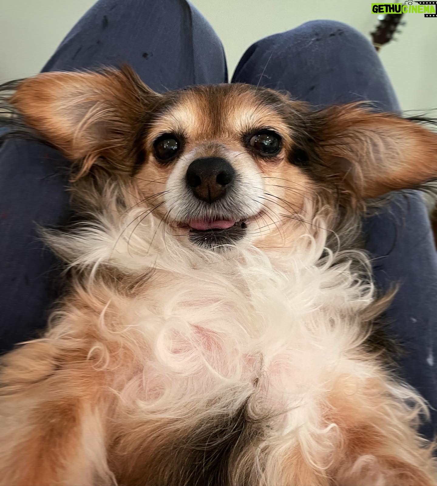 Samantha Smith Instagram - Tulip, contented 😛♥️🌷