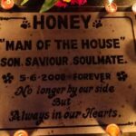 Sambhabana Mohanty Instagram - And I missed home & I missed my mom & the most I missed is Honey - him taking careful paw steps not to spoil the rangoli 🐾 I missed you each moment. I miss you. Will always do. Anyway, did a pretty decent job this year, don't you think !