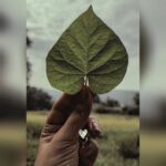 Sambhabana Mohanty Instagram - I ☘️ YOU