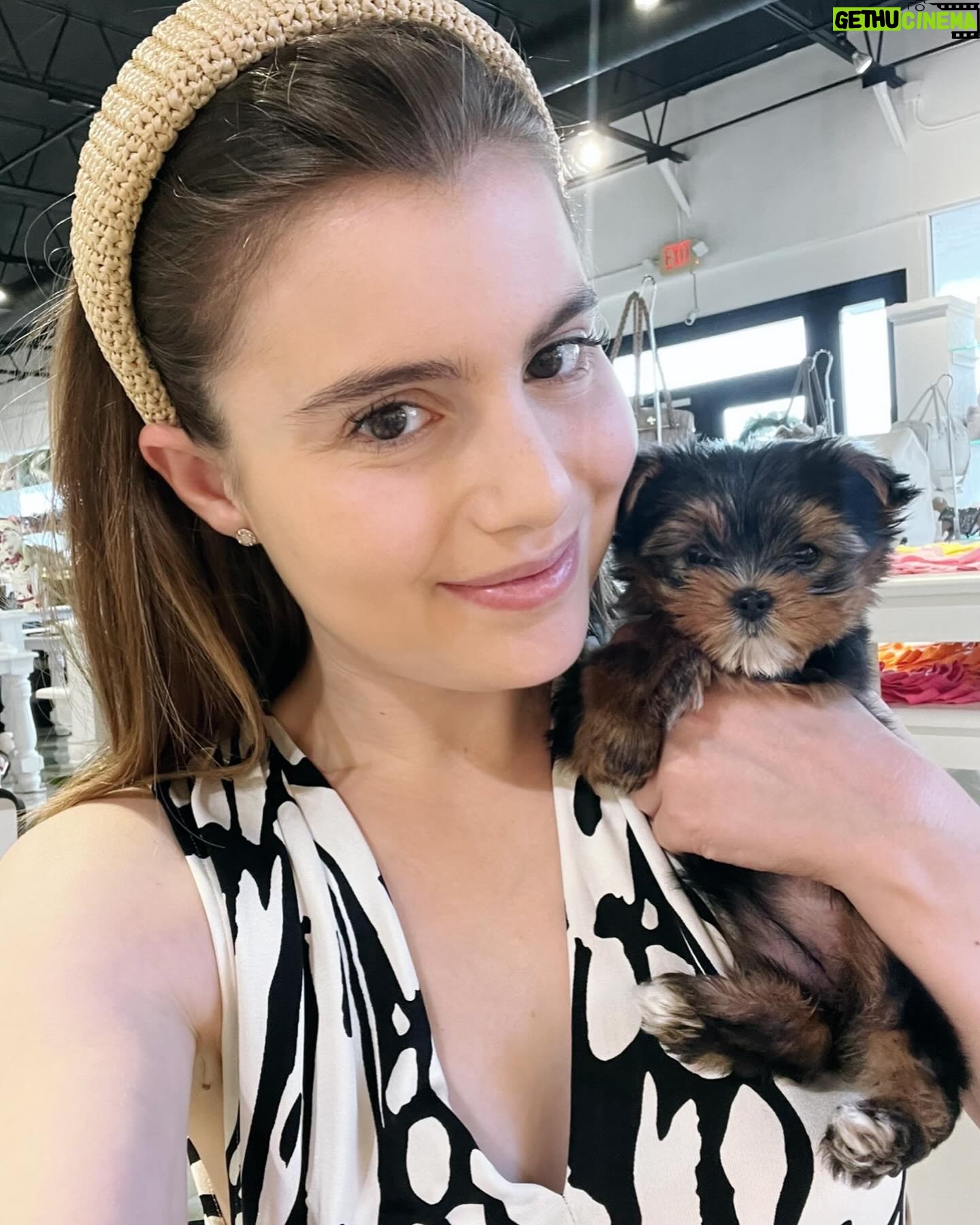 Sami Gayle - 6.7K Likes - Have quite the treat for Halloween this year 😊
Introducing: Mocha Cookie
(aka Licorice’s sister)