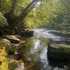 Samia Finnerty Instagram - i wrote a lot of songs last year