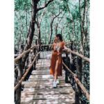 Sandra Nováková Instagram - Mangrovy #mangroves #zanzibar #zanzibarbeautiful