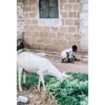 Sandra Nováková Instagram - Local village Pwani mchangani❤️ #pwanimchangani #zanzibar #amazingplace