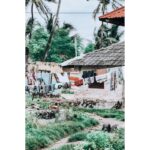 Sandra Nováková Instagram - Local village Pwani mchangani❤️ #pwanimchangani #zanzibar #amazingplace