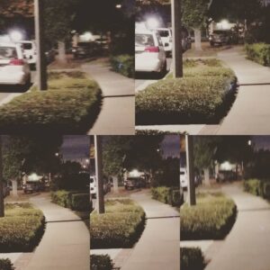 Sandra Rosko Instagram - Literally a day after getting my emergency protective restraining order against my psycho ex boyfriend, I got home tonight to lock eyes with him as he passed by my house. I took photos as he skateboarded away, every second until he jumped in those bushes. Top right of each photo, starting from the top left. Called the cops. They're looking for him. Wish me luck! #timesup
