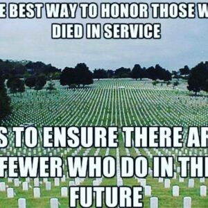 Sandra Rosko Instagram - #happymemorialday and thank you to everyone who's helped bless us with freedom.  Thank you for your sacrifice.  Thank you for your protection.  May you find the peace that you seek.  Your sacrifice will not be in vain.  Here's to there ever being fewer who die for our freedom.  Here's to the Constitution, and upholding it so we will never need another Independence Day. #onelove