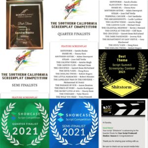 Sandra Rosko Instagram - In lighter, somehow shittier news, I've lost count of how many laurels @shitstormmovie has now... & a plaque! haha No shit! Well... 😜 A parody of the shitstorm that is our "elite" political system! "Number Two: The Sequel" coming soon... 🤣