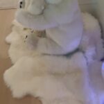 Sanela Diana Jenkins Instagram - Where is pearl lol we couldn’t find her for an hour before party till we realized she has decided to become part of decor and she thinks she is a member of polar bear family lol