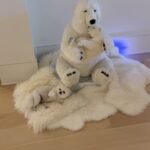 Sanela Diana Jenkins Instagram - Where is pearl lol we couldn’t find her for an hour before party till we realized she has decided to become part of decor and she thinks she is a member of polar bear family lol