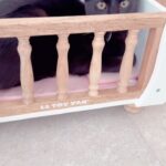 Sanela Diana Jenkins Instagram - someone had one night stand and got herself pregnant now acting all innocent lol we don’t know who father is but our bet is on a very ugly cat pirate who was brave enough to break in to property to get to her . let’s hope kitties 🐱 🐈‍⬛ look like their mom lol