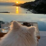Sanela Diana Jenkins Instagram - island 🏝️ living 😊