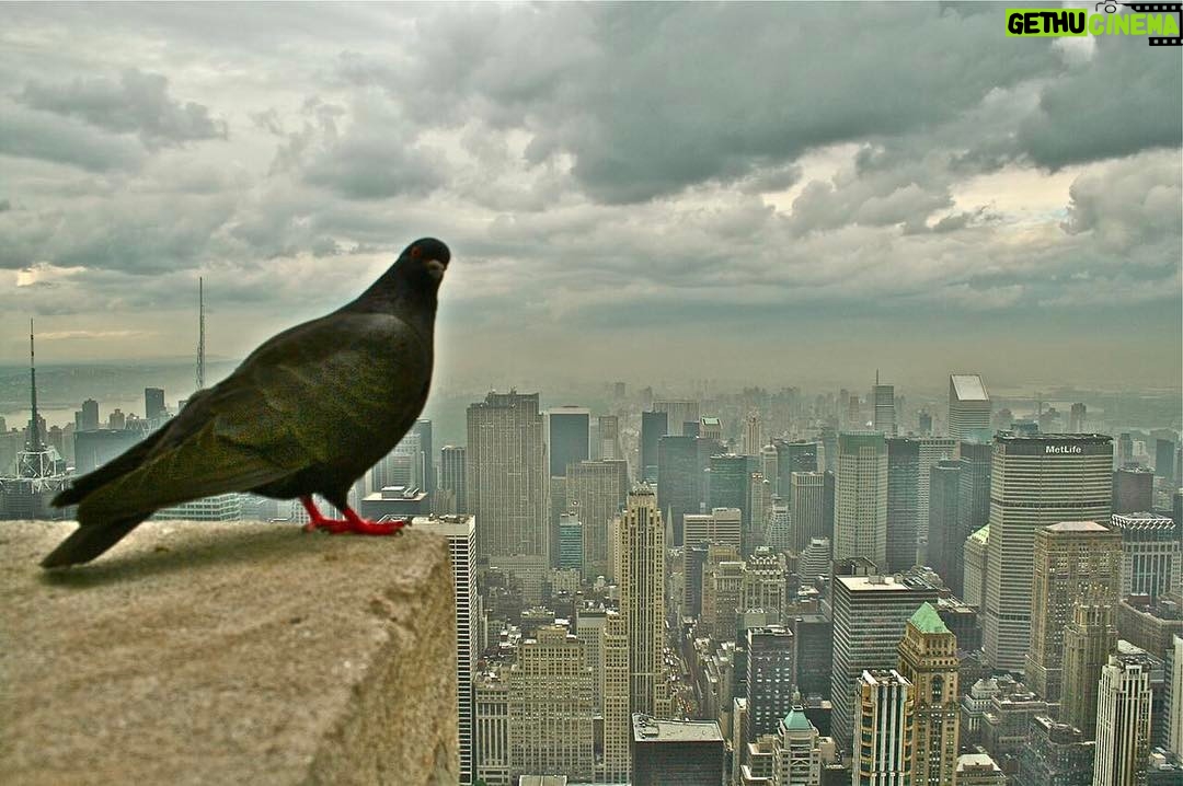 Sanem Çelik Instagram - #NY 2010... Uçucan mı? 👀