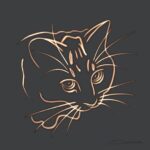 Sanem Çelik Instagram – Yuppiii … 10 yıldır beklediğim dijital ortam sonunda şahane😋 #procreateapp #ipadpro #ipadart #applepencil #cat