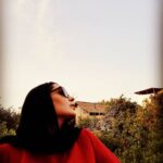 Sania Salari Instagram - دستت را به من بده دستهای تو با من آشناست ای دیریافته با تو سخن میگویم بسان ابر که با توفان بسان علف که با صحرا بسان باران که با دریا بسان پرنده که با بهار بسان درخت که با جنگل سخن میگوید زیرا که من ریشه های تو را دریافته ام زیرا که صدای من با صدای تو آشناست #احمد_شاملو