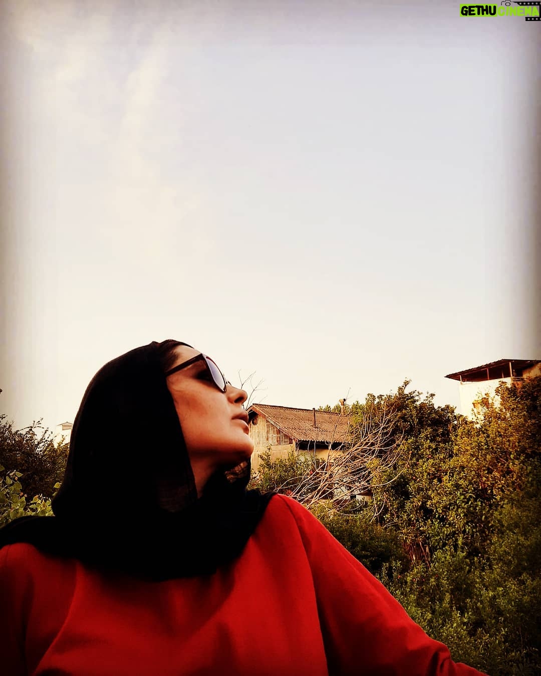 Sania Salari Instagram - دستت را به من بده دستهای تو با من آشناست ای دیریافته با تو سخن میگویم بسان ابر که با توفان بسان علف که با صحرا بسان باران که با دریا بسان پرنده که با بهار بسان درخت که با جنگل سخن میگوید زیرا که من ریشه های تو را دریافته ام زیرا که صدای من با صدای تو آشناست #احمد_شاملو