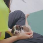 Sanjana Krishnamoorthy Instagram - 🐶🤍 @pawga_ @thatmadraskaran Spot my favourite girl 😋 @nandhitha.ramesh