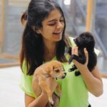 Sanjana Krishnamoorthy Instagram - @pawga_ spreading smiles and pawsitivity 🐾🤍 📷 @thatmadraskaran