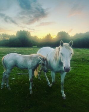 Sanna Lundell Instagram - Fan vad man älskar dessa skruttar❤️