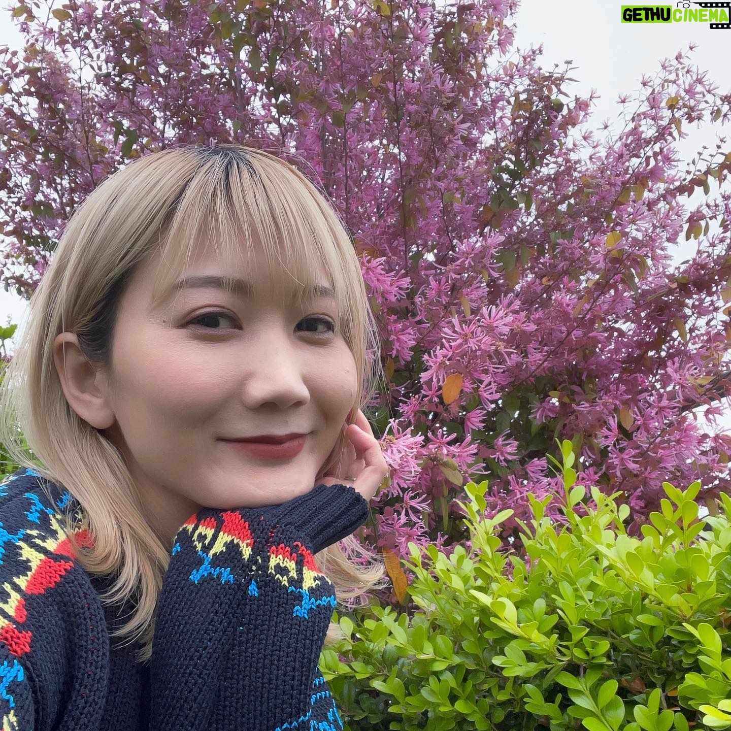 Saori Instagram - 差別はなくなる方がいいし、環境汚染なんてしたくないし、動物は幸せでいてほしい。 そう思っていても、知らないうちにそれらに加担してしまっていることは多い。 例えば食べているもの、選んだ家具や服が作られるシステムや、その理念を知らないときに。 ステラマッカートニーの服に袖を通した時、「無駄を削減することに力を入れている」と説明して貰った。 レザー、ファー、ダウンを含め、服を作るときに無駄な殺生を行わないことや、資源を採取しすぎないこと、作りすぎないことを気をつけていること。 ステラの服を着るときはいつもそのことを思う。 流行とは関係なく、大事に長く着たい。 In addition to eliminating discrimination, we must focus on protecting our environment, our world, and the animals that live in it. Even though most of us are aware of this, we are complacent in so many ways. We don't seek out the truth behind the products we buy, the food we eat, and the clothes we wear. When I wore Stella McCartney's clothes for the first time, I was told that their goal is to reduce waste and make clothing that is cruelty free. They do not harm animals by using leather, fur, or down. There is no excessive waste, and they do not overproduce their products. Every time I slip into Stella's clothes, I am reminded of this. I want to wear them for a long time, regardless of what's trendy or in fashion. I want to be responsible and reuse. #stellamccartney #home #おうちが春