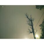 Saori Instagram - くもり、ときどき雨。 晴天続きのロスからくると、 これもまたよし。帰国です。