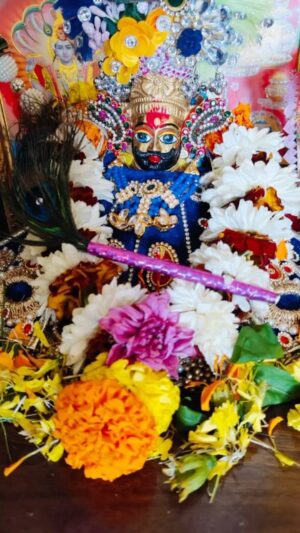 Sapna Sharma Instagram - Jai shree shyam 🙏🙏❤️❤️🥰🥰#khatushyamji #khatu #khatunaresh #khatuwale