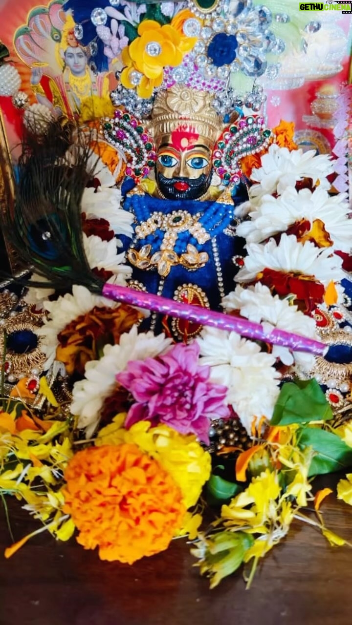 Sapna Sharma - 614 Likes - Jai shree shyam 🙏🙏❤️❤️🥰🥰#khatushyamji #khatu #khatunaresh #khatuwale
